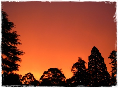 Daylesford Sunset